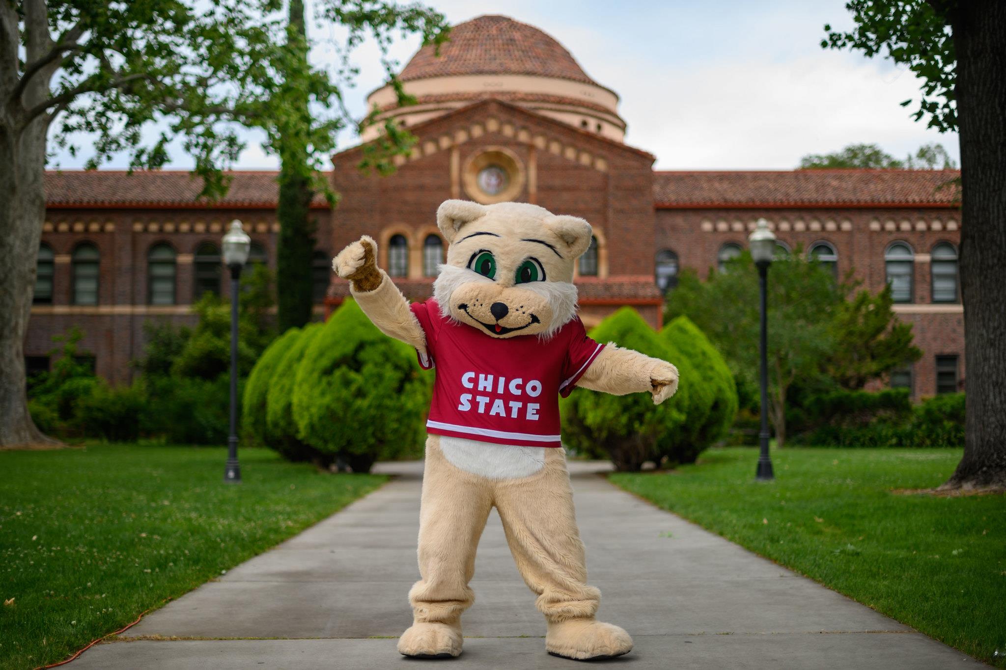Willie the Wildcat posing with his hands up in front of kendall hall